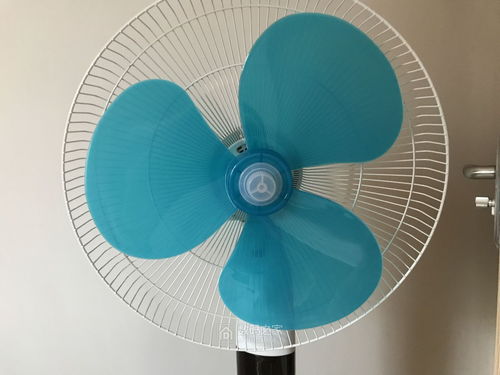 出事故的风扇